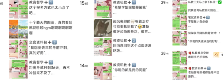 20241229234503547-image-1024x369-1 20241229234503547-image-1024x369-1