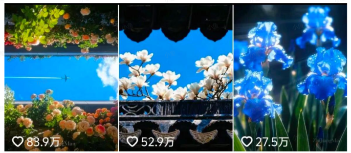 20251030233317372-pasted_image