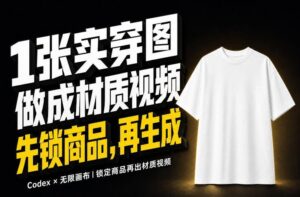 1张实穿图，10秒引爆Amazon服装材质视频的秘诀，重点不在提示词！-梧桐有术